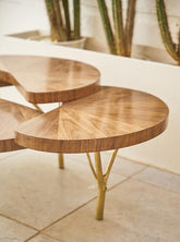 Tree Trunk Coffee Table